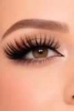 'Spotlight' Lashes